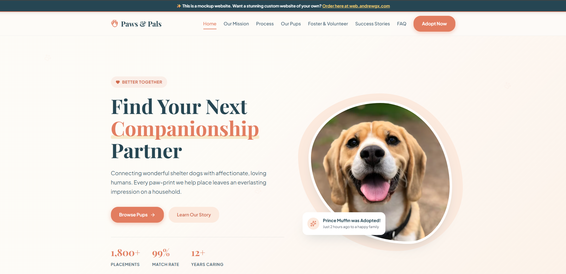Paws n Pal! - A preview of a mockup website